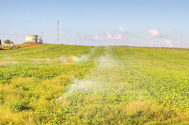 Agricultural Pollution