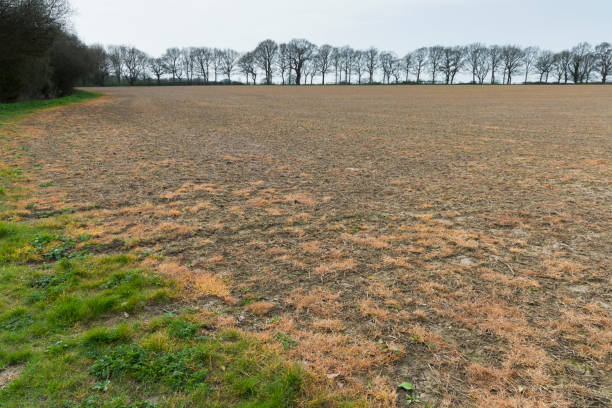 Agricultural Pollution