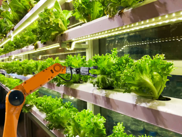 Vertical Farming