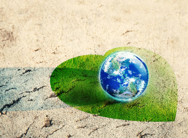 The Global Impact