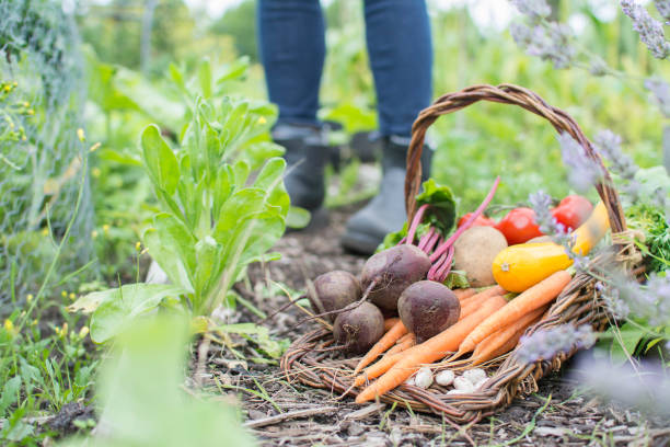 Harvesting Success: