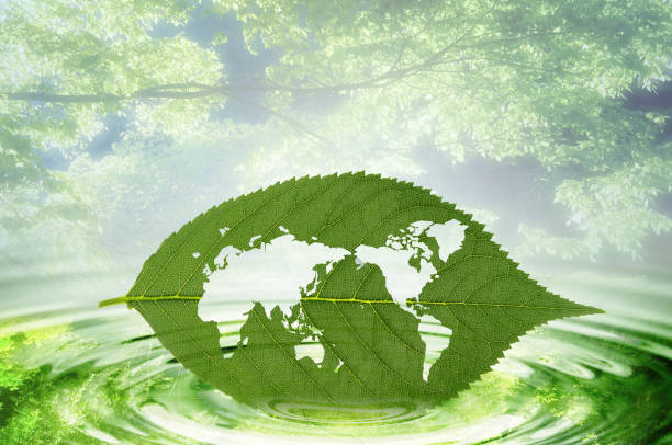 Circular Economy 