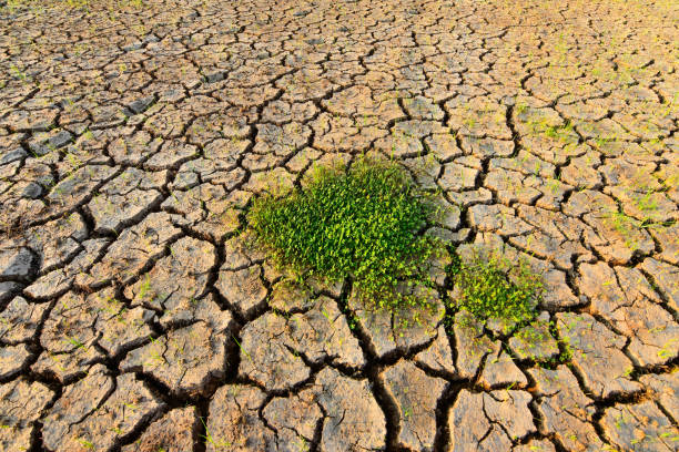 Circular Economy 