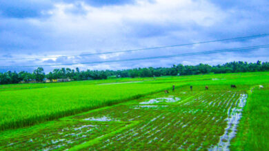 Floods and Thunderstorms