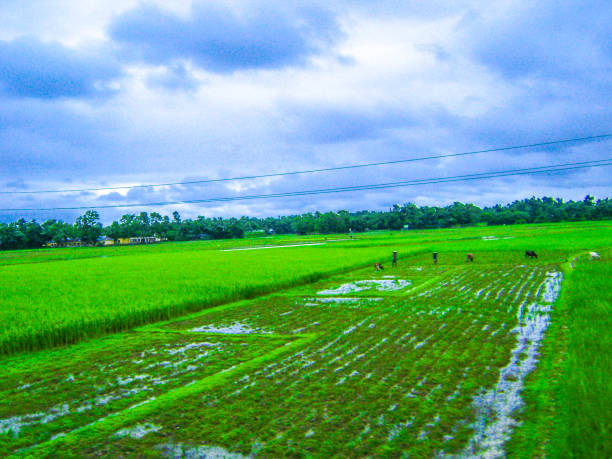 Floods and Thunderstorms