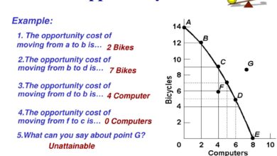 Opportunity Cost in Economics