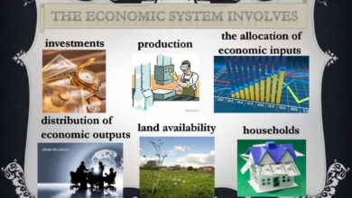 Economic System